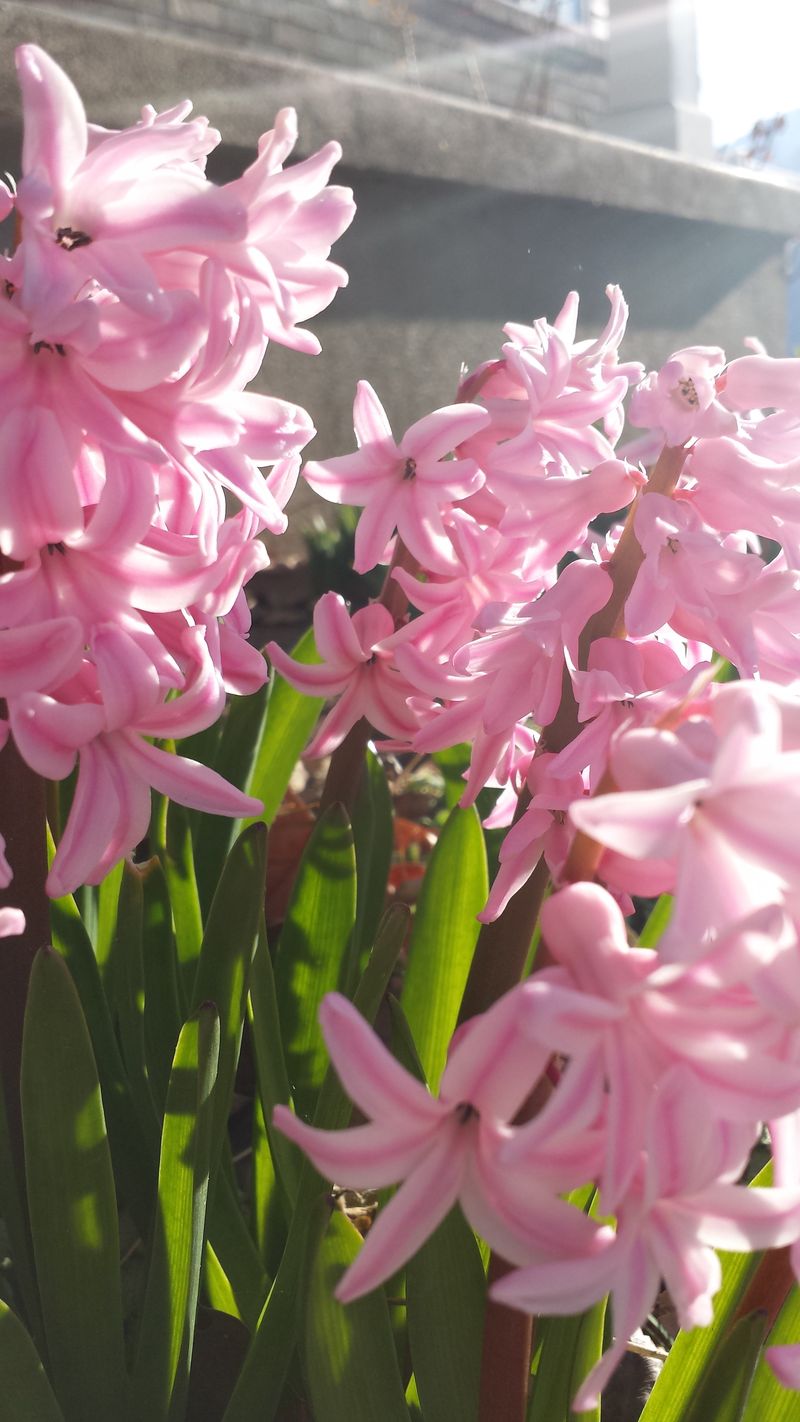 20140325_090147 20140325_090147