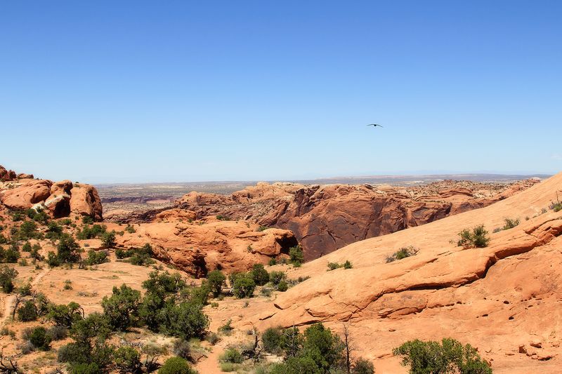 IMG_0342 trail to 2nd overlook raven IMG_0342 trail to 2nd overlook raven