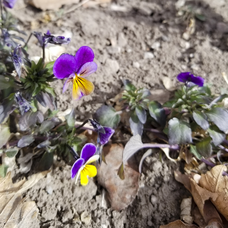 Feb 18 on 18 no7 Feb 18 on 18 no7